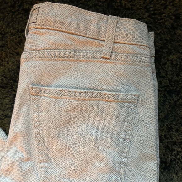 Current Elliot | Python Print - Picture 3 of 5